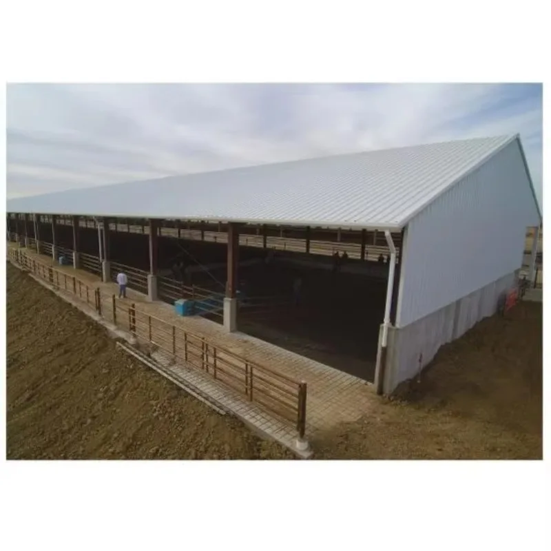 Customization Stable Horse Barn Kits Steel Structure Cowshed Prefabricated Dairy Cow Cattle Farm Shed Barns House Building