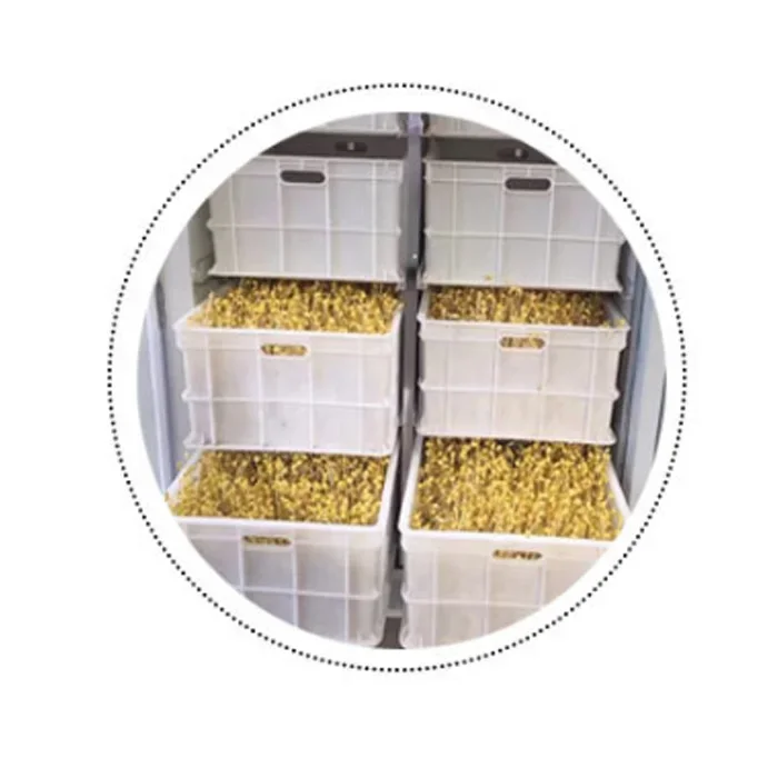 Máquina de alimentación de plántulas de hierba animal, máquina de brotes de frijol de cebada, máquina de cultivo de brotes de soja