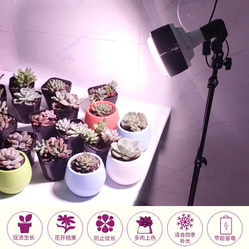 LED Fin Plant Light Succulent Fill Light Flower Potted Seedling Plant High Power Fill Light