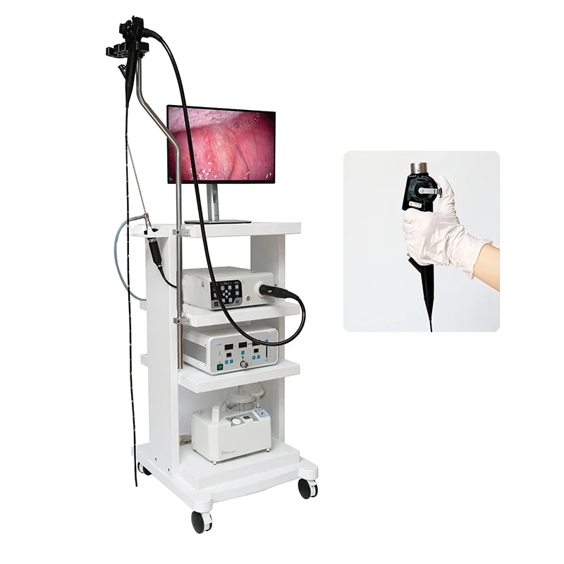 Gastroscope Professional Gastrointestinal Endoscopy OEM Manufacturer HD Video Endoscopy System Electronic Colonoscope