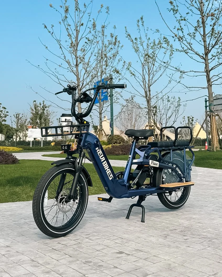 

STLF Factory OEM Dual Battery Cargo Ebike 20inch Fat Tire 2 Wheels Long Tail Adult City Electric Cargo Bike 500w 750w With Baske