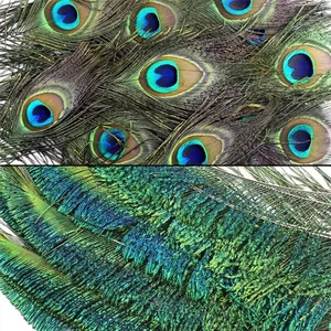 أعلى 5 مبيعات مزهرية ريشة الطاووس - رقم 4