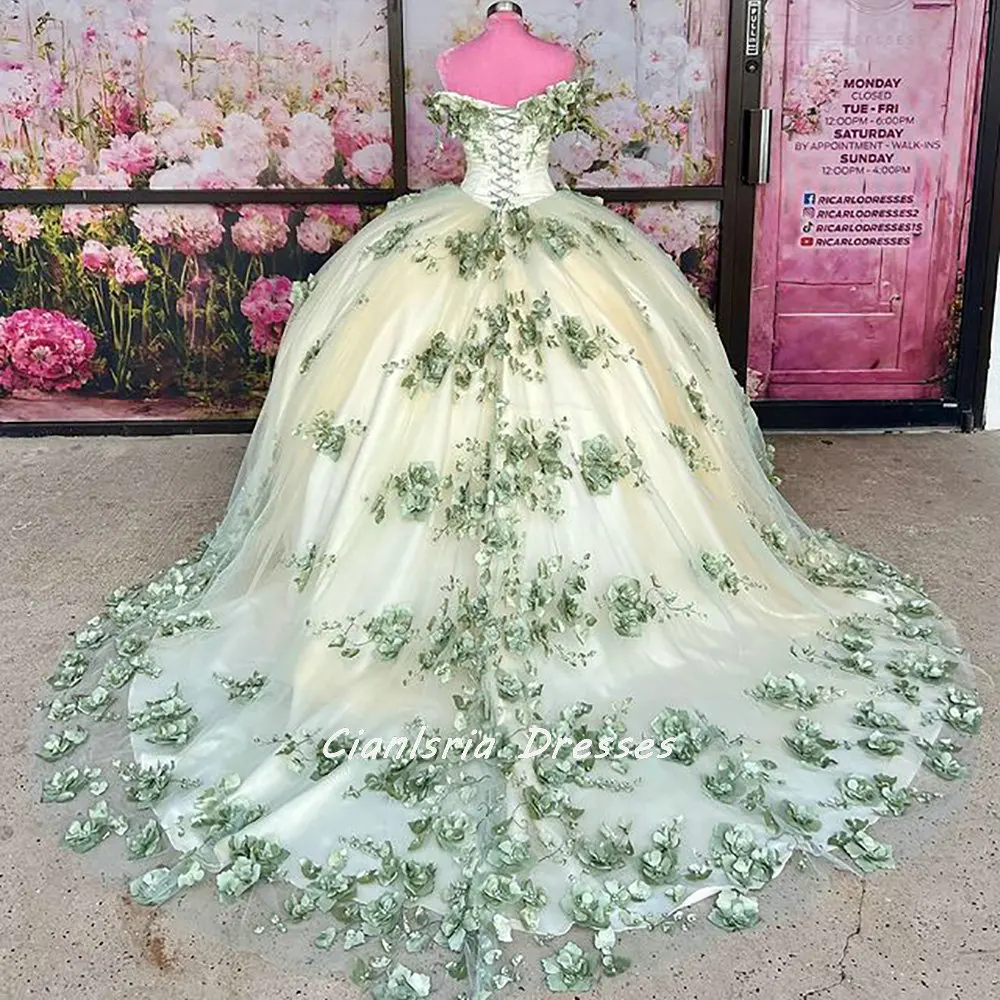 

Sage Green Pearls Beading 3D Flowers Quinceanera Dress Ball Gown Off The Shoulder Appliques Lace Corset Vestidos De XV Anos