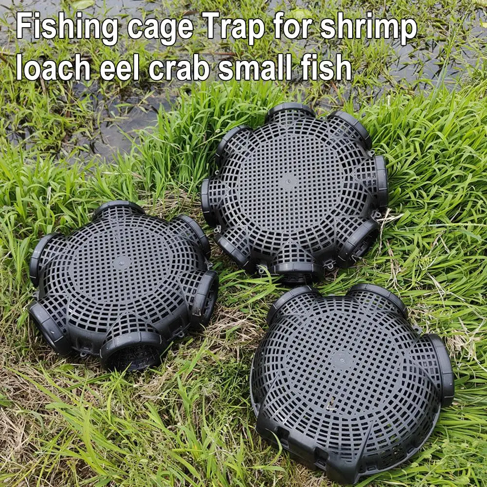 

Black Fish Net Cage Fishnet Finless Eel Loach Trap Plastic Fishing Fishing 1pcs Pot Mud Traps Container Container C D5s4