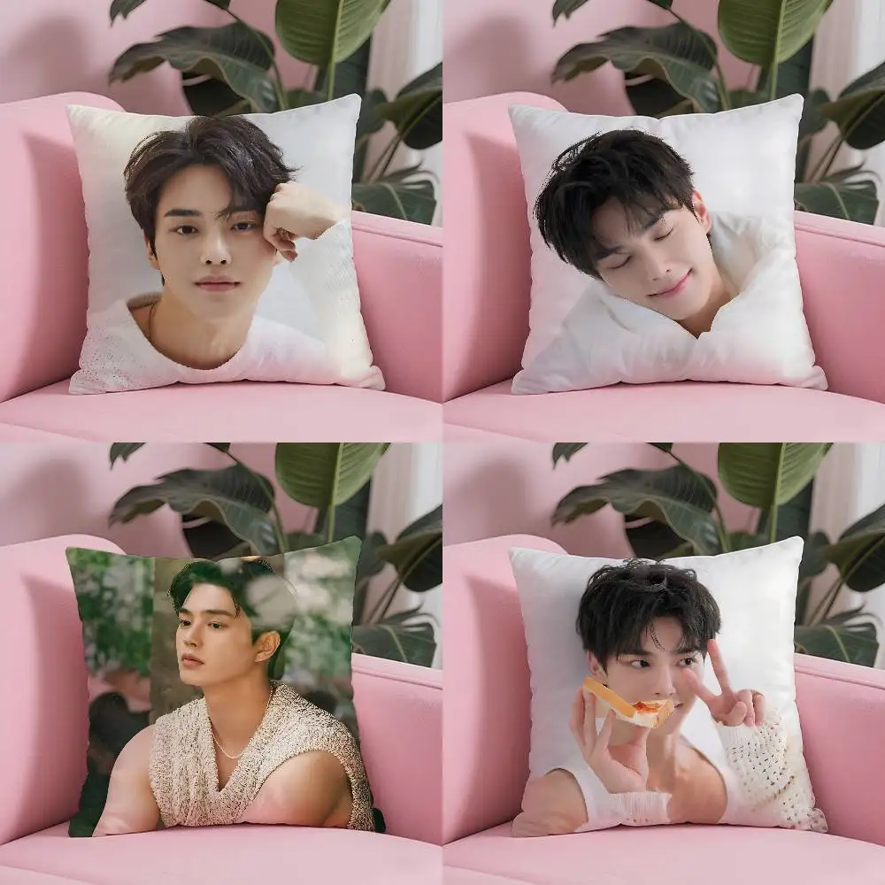 Kpop الممثل الساخن S-Song كانغ كيس وسادة مكافحة الغبار المخدة غير مرئية سستة حريري قصير أفخم غطاء وسادة أريكة