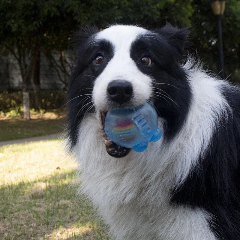 Hund Kauen Spielzeug Training Sound Silikon Ball Simulierte Fisch Form Hund Spielzeug Interaktive Reinigung Zähne Haustier Zubehör – Detail 5