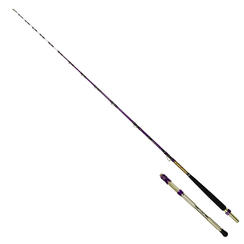 Technical Sea Fishing and Releasing Rod 200-210 M/200-240 M Lure Rod Fishing Gear Wholesale