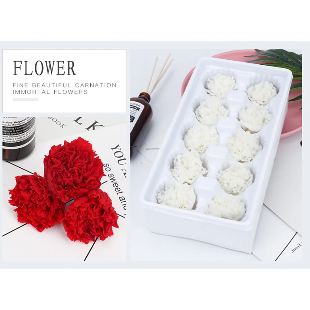 

4-5Cm Preserved Carnation Flowers Dried Eternal Blooms No Water Needed Romantic Decoration for Anniversary Valentine Gift