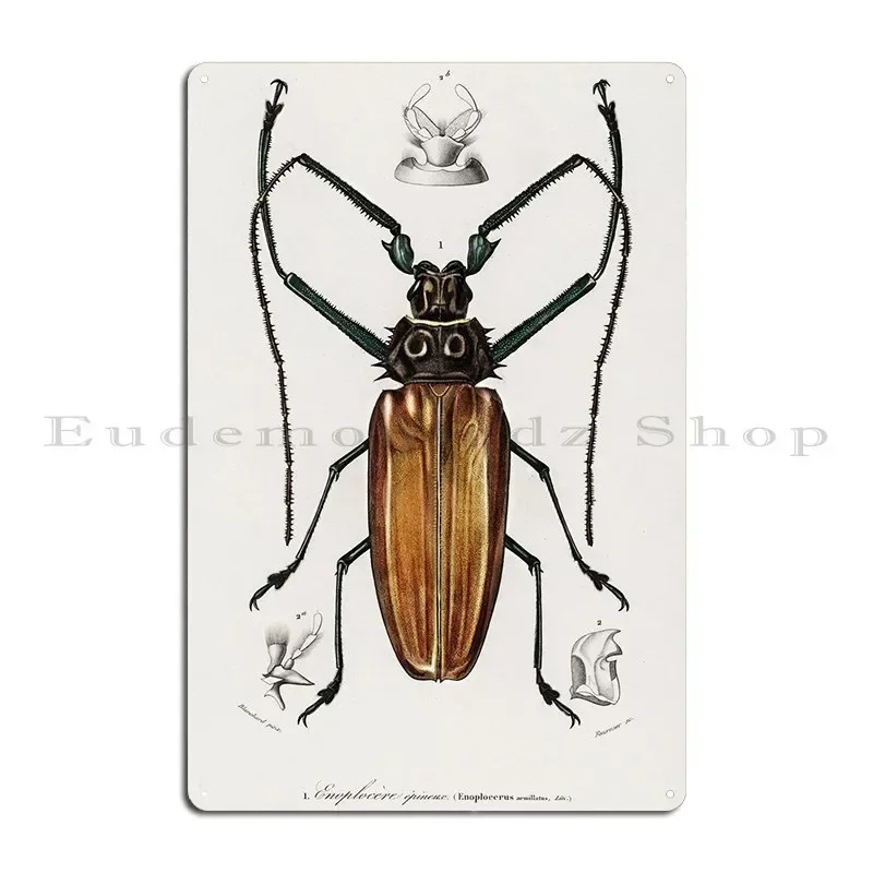 Enoplocerus Armillatus Ill Metal Signs Party Cinema Club Cave Create Tin Sign Poster