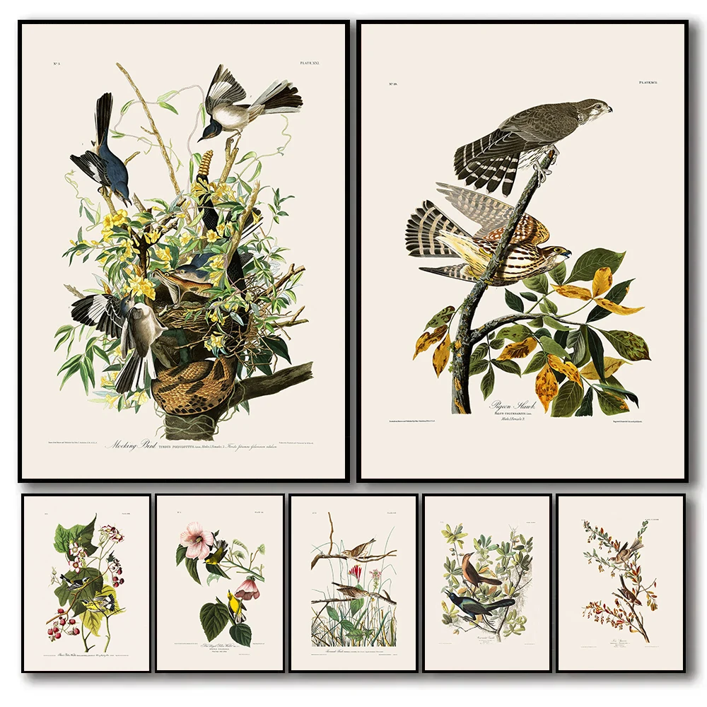 Vintage Birds Old Audubon Illustration Floral Plants Poster Canvas Painting Cormorant Bird Wall Pictures Realism Art Home Decor