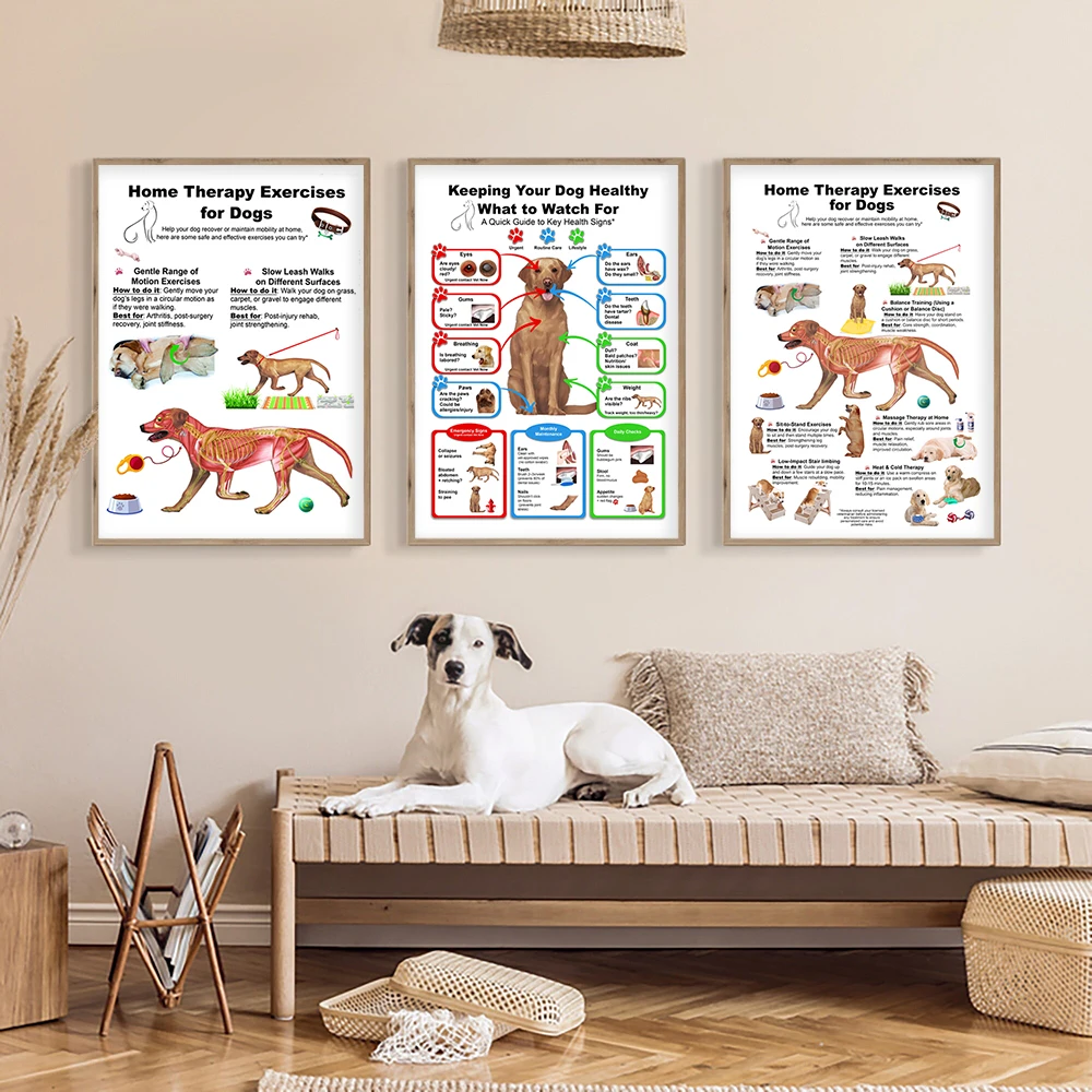 1PC  Dog Anatomy Diagram Poster Keeping Your Dog Cat Healthy Print Veterinary Wall Art Canvas Painting Animal Hospital Wall D