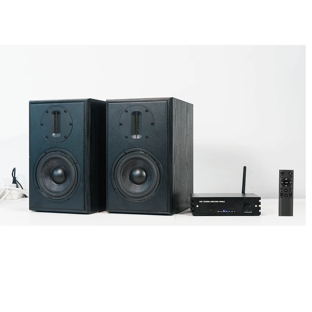 Samtonic-altavoz HiFi estéreo de fibra de carbono para estantería, juego de amplificador de 5,25 pulgadas, de madera, para Audio en casa