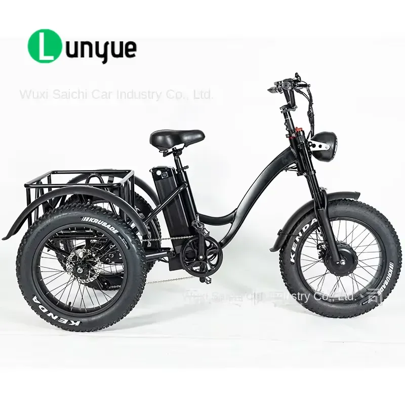 Adult Pedal Electric Tricycle 1 Seat Open Body Cargo E Trike for Elderly Freight Transport High Power Durable Outdoor Use