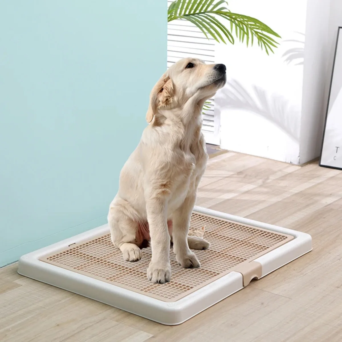 Large Dog Toilet Mat Dog Stuff Indoor Litter Box Tray Labrador Poop Pee Pad Articulos De Perro Puppy Toilet Dog Accessories