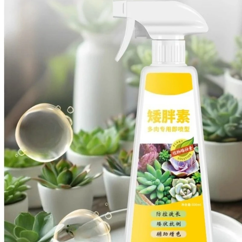 Special Succulent Short and Fat Gluten Nutrient Solution for Thrilling Roots and Green Plants To Enhance Color