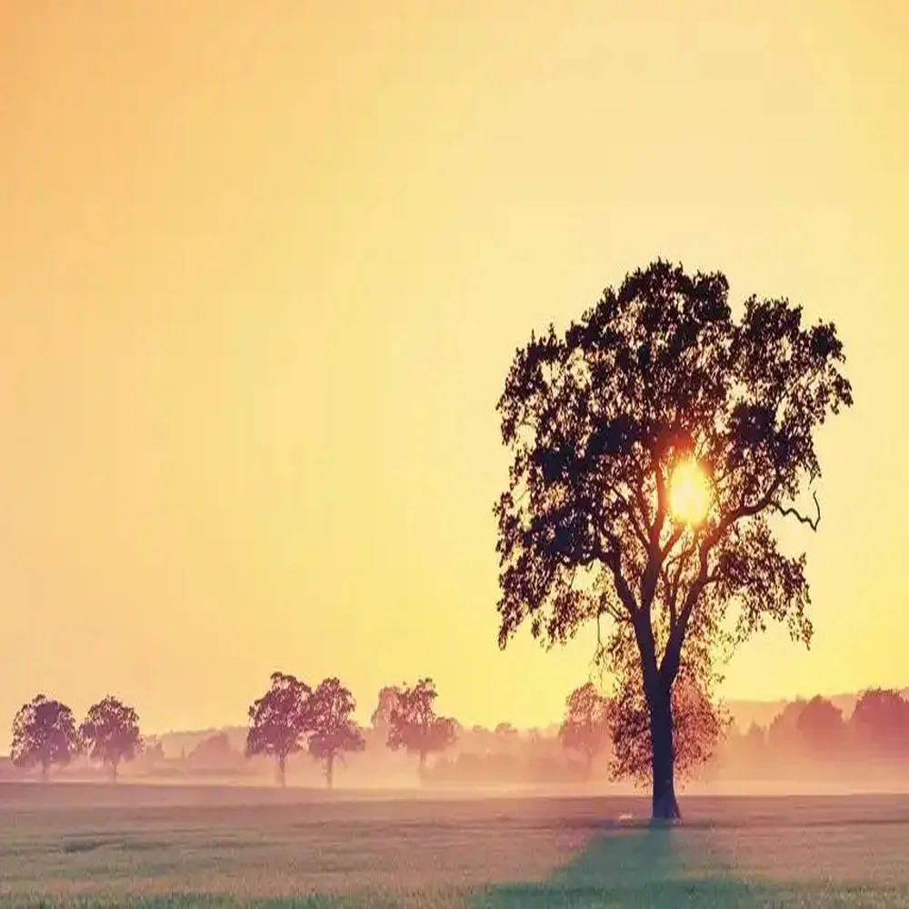 

Сверхлегкий модуль HolyBro H RTK F9P RTK GNSS с винтовой антенной компаса ZED F9P IST8310 для пикселей серии Pixhawk