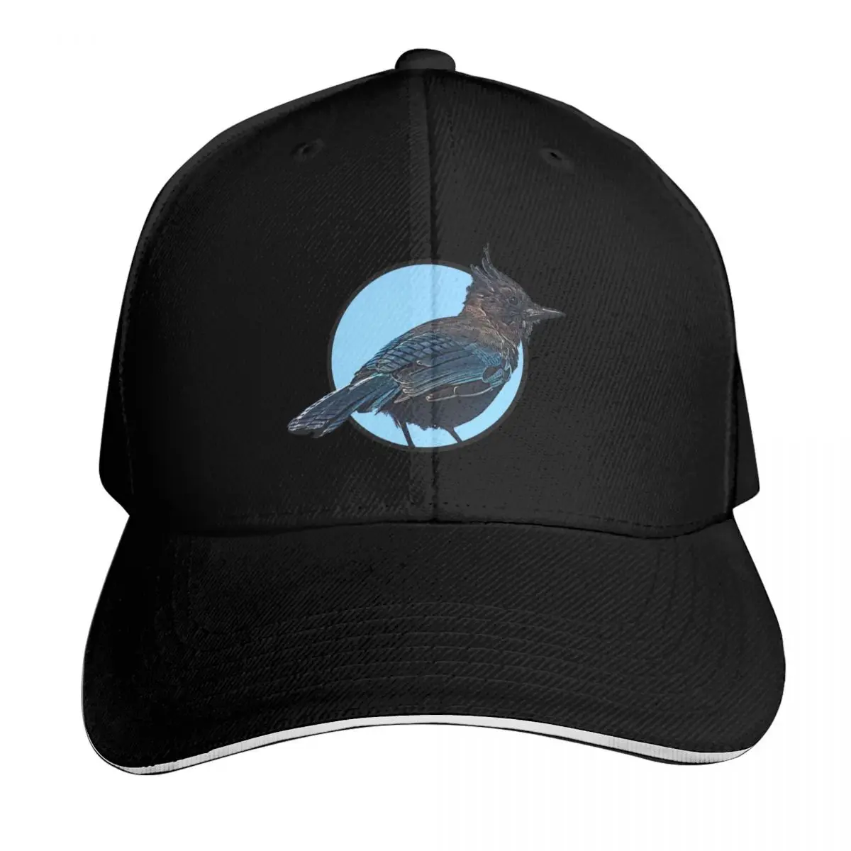 Бейсболка с наклейкой Steller's Jay, забавные шапки, шапки для регби, шапки с помпоном, женские и мужские шапки