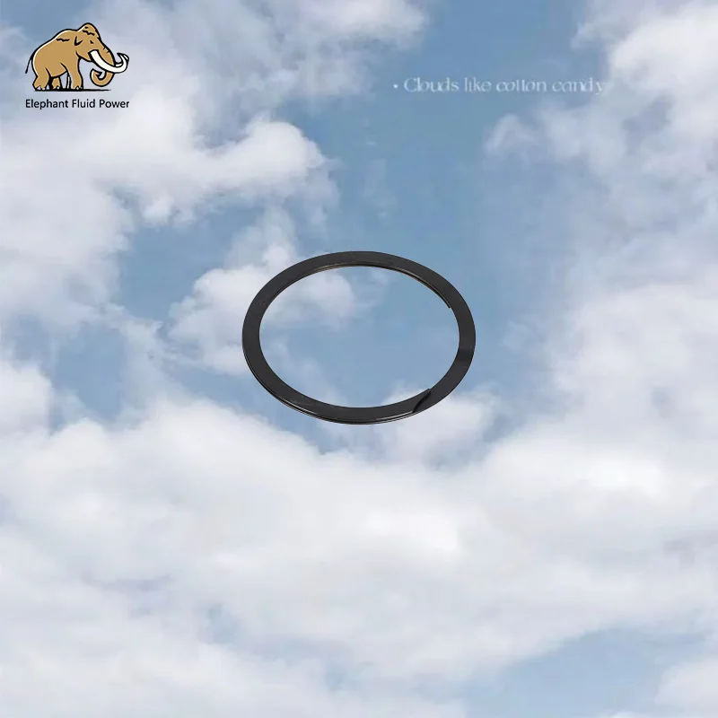 

Запасные части гидравлического шестеренного насоса серии Parker P75 391-2686-025 Стопорное кольцо для строительной техники