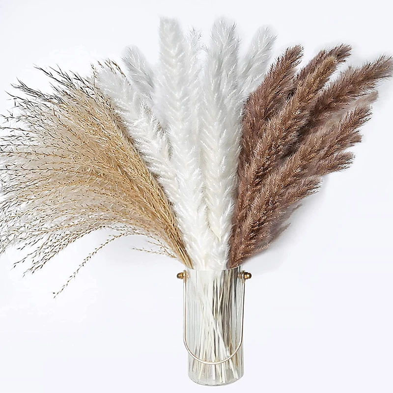 

100PCS Phragmite Dried Flowers Natural Pampa Grass Bouquet DIY Artificial Flower Plant Bouquet Home Living Room Wedding Decor