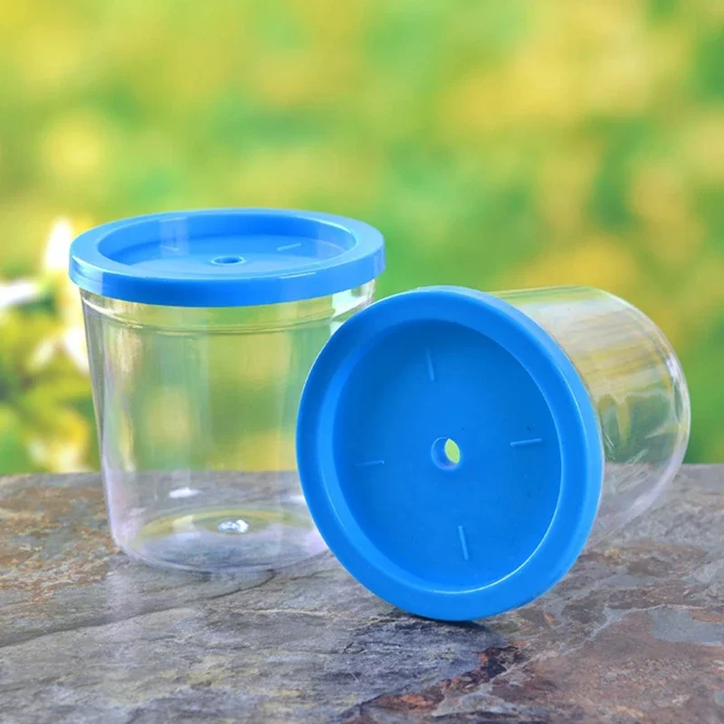 Mini Aquarium Tank Fish Cups Bowls for Small Fish and Tortoise Clear Aquariums for Kids Perfect Birthday Gift Ideas