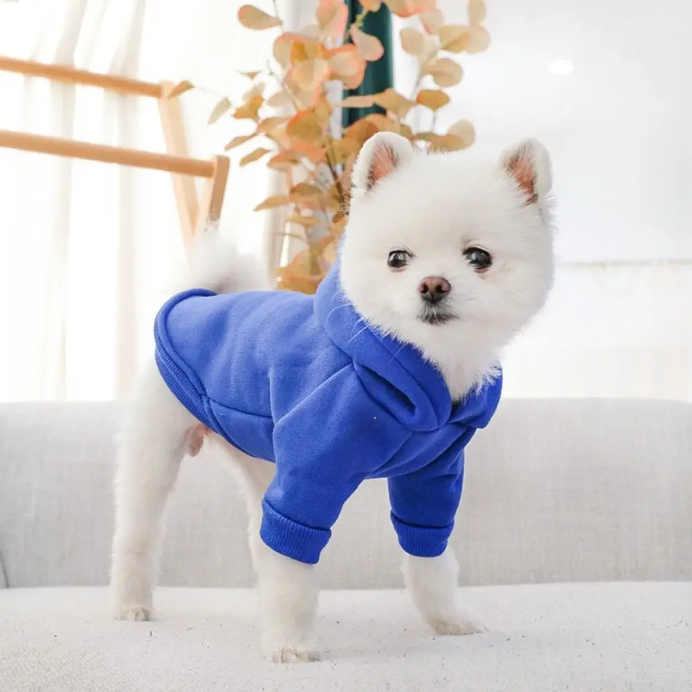 Quente cor sólida pet hoodie macio poliéster de duas pernas cão moletom com capuz confortável cão hoodies camisola inverno