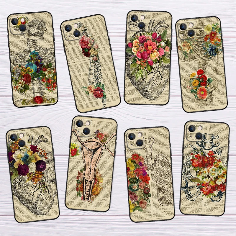 Human Organs Brain …