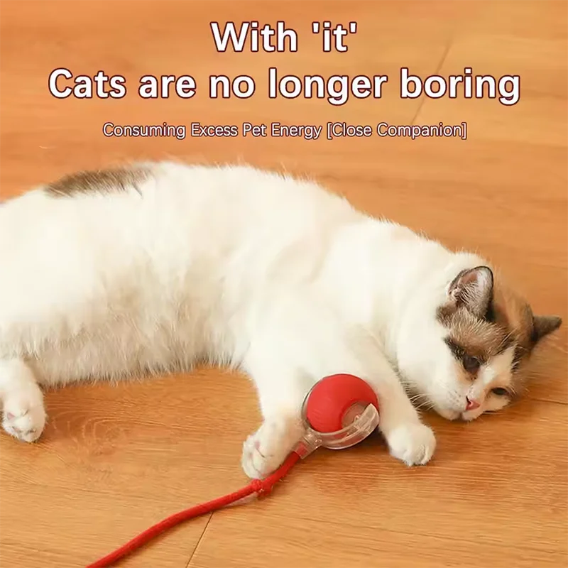 Smart Automatic Rolling Cat Toy Ball 2