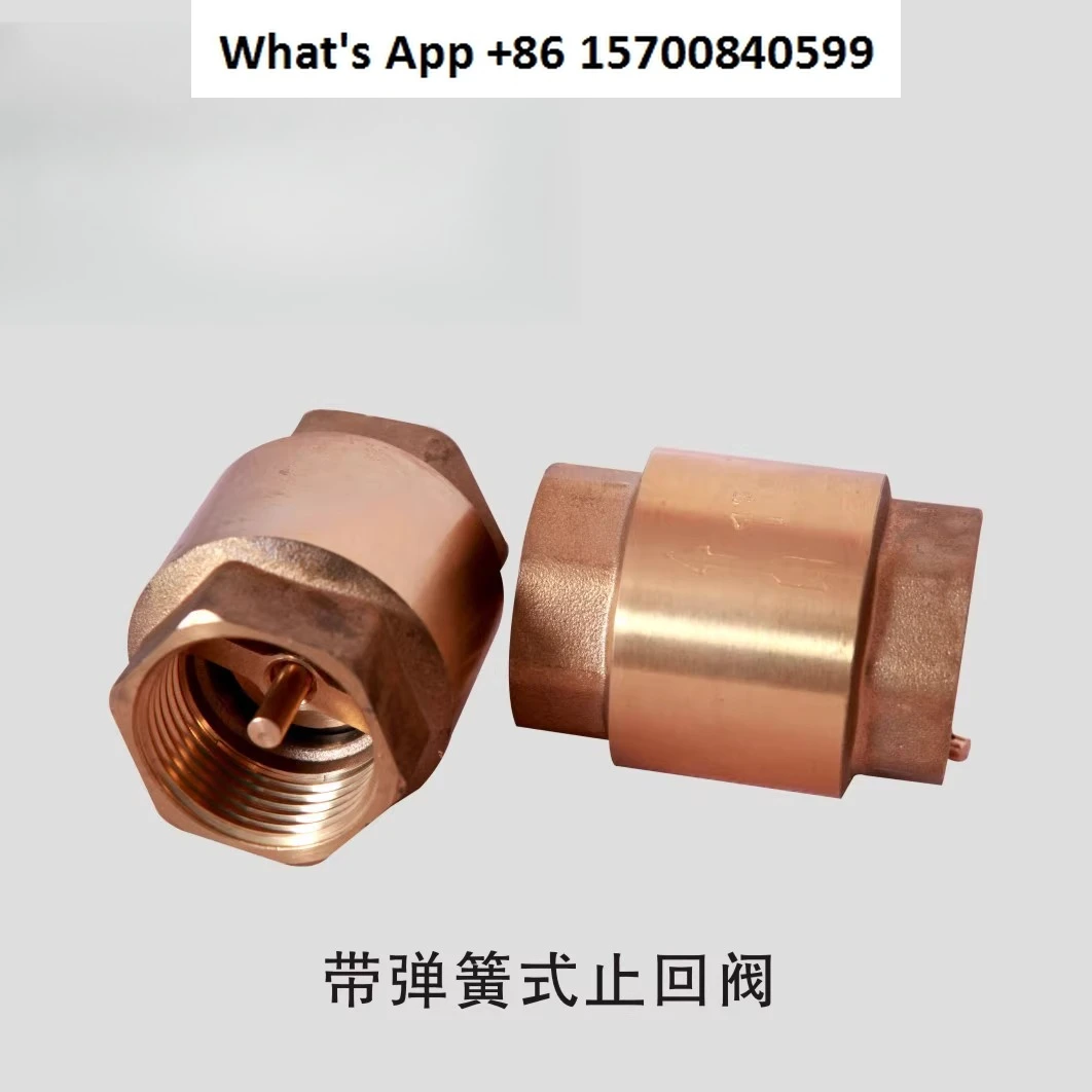 Hot forging brass vertical check valve for stainless steel float valves