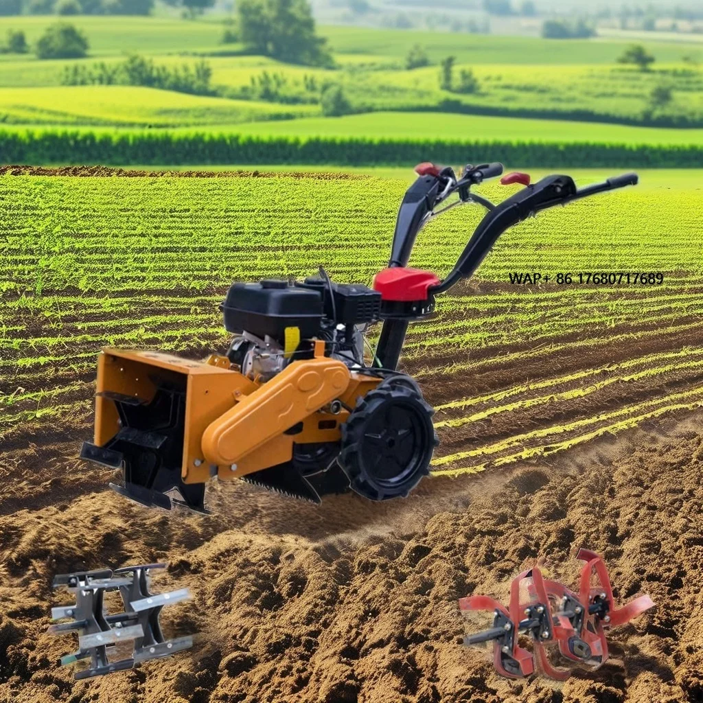 

High Quality Multi-Functional Weeder for Garden and Farmland Direct Factory Supply-Farm Machines