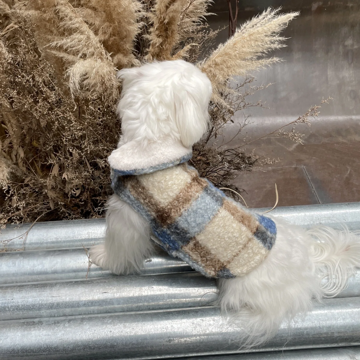 �y�Z�[�����z���g���E�[���I�[�o�[�R�[�g�q����2025�~���g���u���[�O���[���I�����W�g�����R�[�g�W���P�b�g���^���^���y�b�g��XS-XL