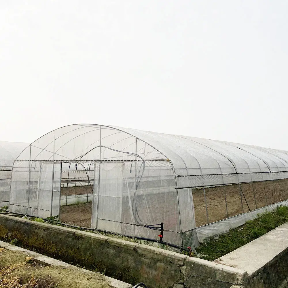 

Large Single-Span Plastic Film Tunnel Greenhouse for Seedling Vegetable and Flower Garden