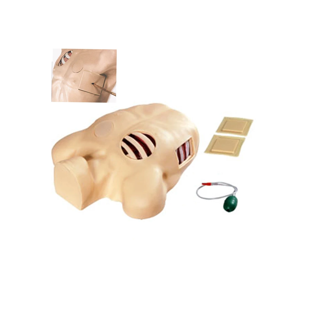 

Thoracentesis and Drainage Model,Pneumothorax Puncture Hydrothorax Intubation Care, Chest Wound Nursing Teaching Simulator