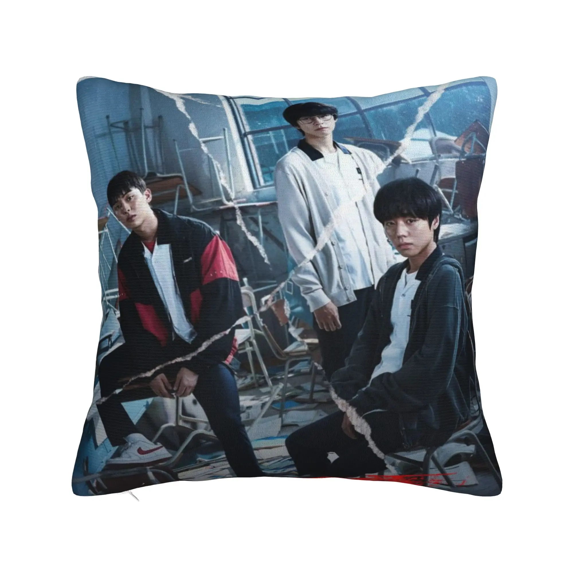 Hot Kdrama Weak Hero Class Pillow Cover  Cute Funny Pillow Case For Living Room Sofa Graphic Pillowcases Gift Idea