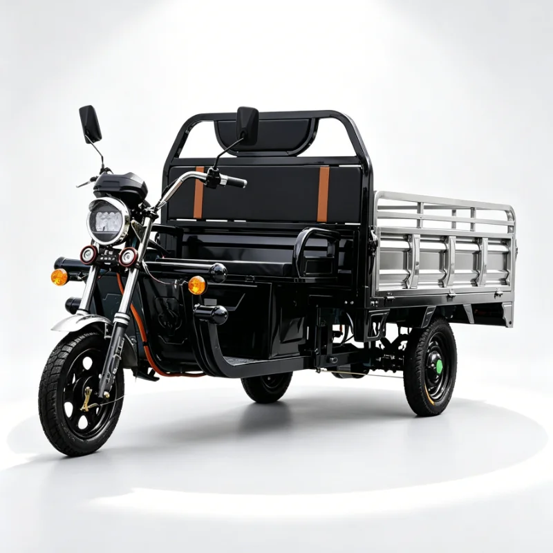 Customized 48V 300W Electric Passenger Tricycle Foldable Three Wheeler with Rear Storage for Daily Travel