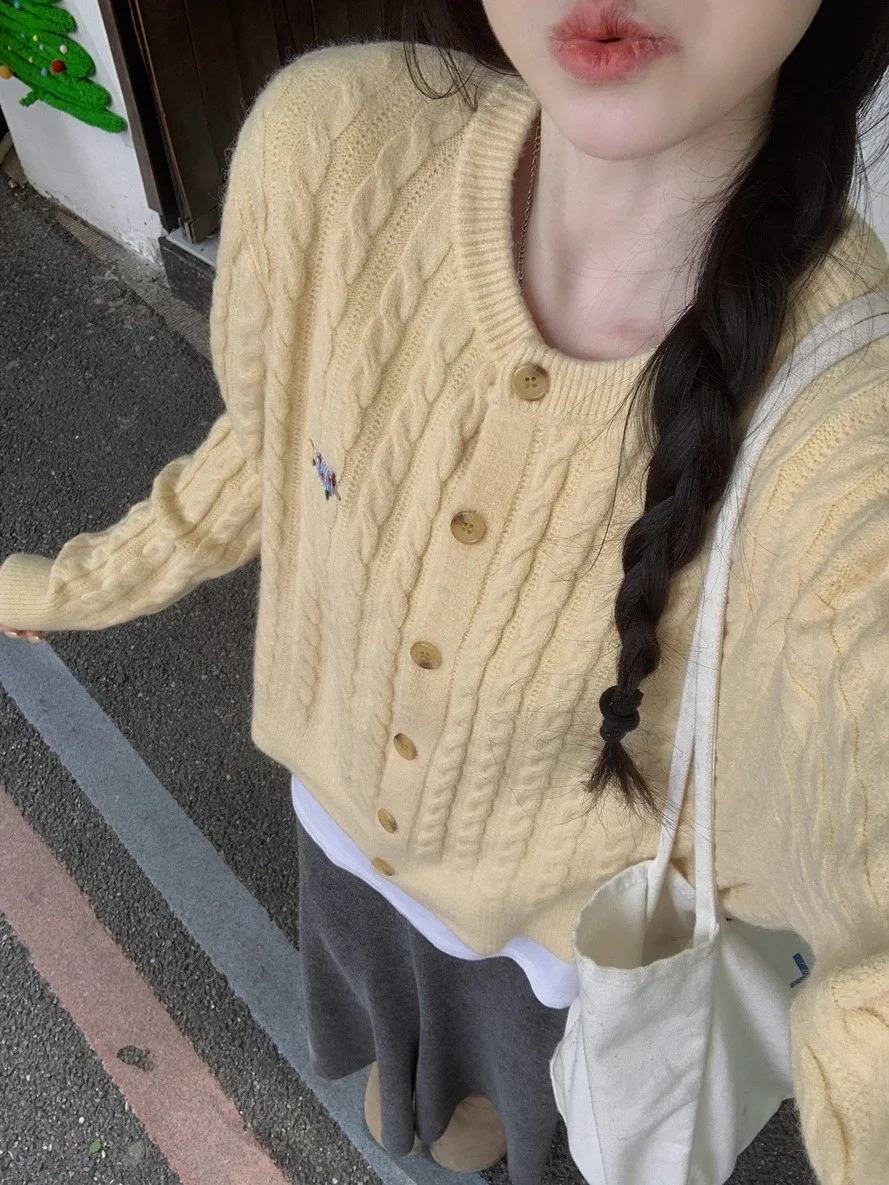 Korean Style Knitted Embroidered Open Cardigan Women's Autumn Winter Lazy High-End Feeling Yellow Sweater Coat Top