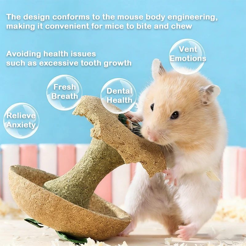 Thumbnail 4 - #22 Best Hamster Exercise Wheels to Buy In 2026