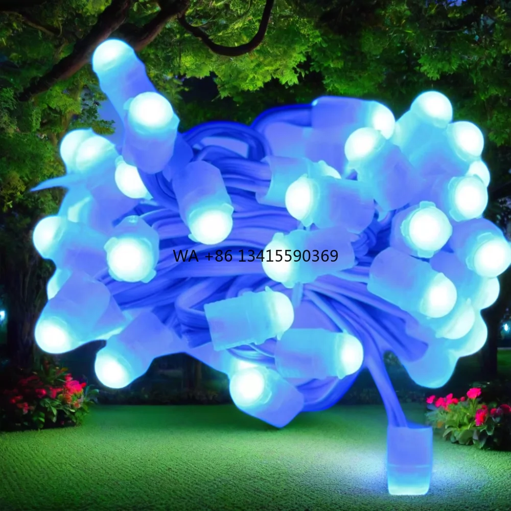 

Factory Direct Supply DC12v 9mm Waterproof Addressable Smart Pixel Blue Permanent Outdoor Christmas Led Point Lights