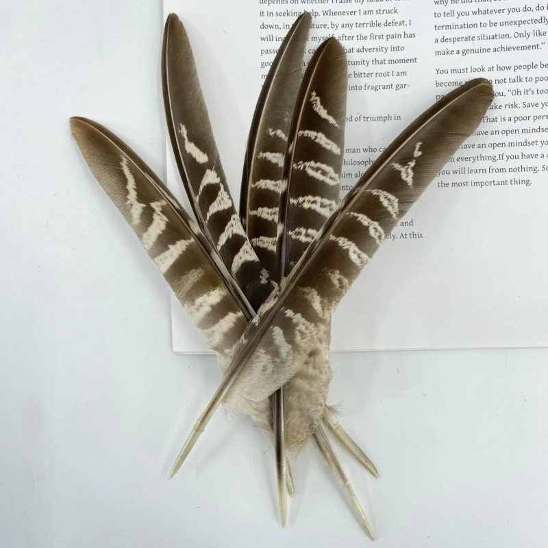 Wholesale Natural Pheasant Feathers for Crafts Jewelry DIY Decoration Carnival Accessories Real Pheasant Feather Decor