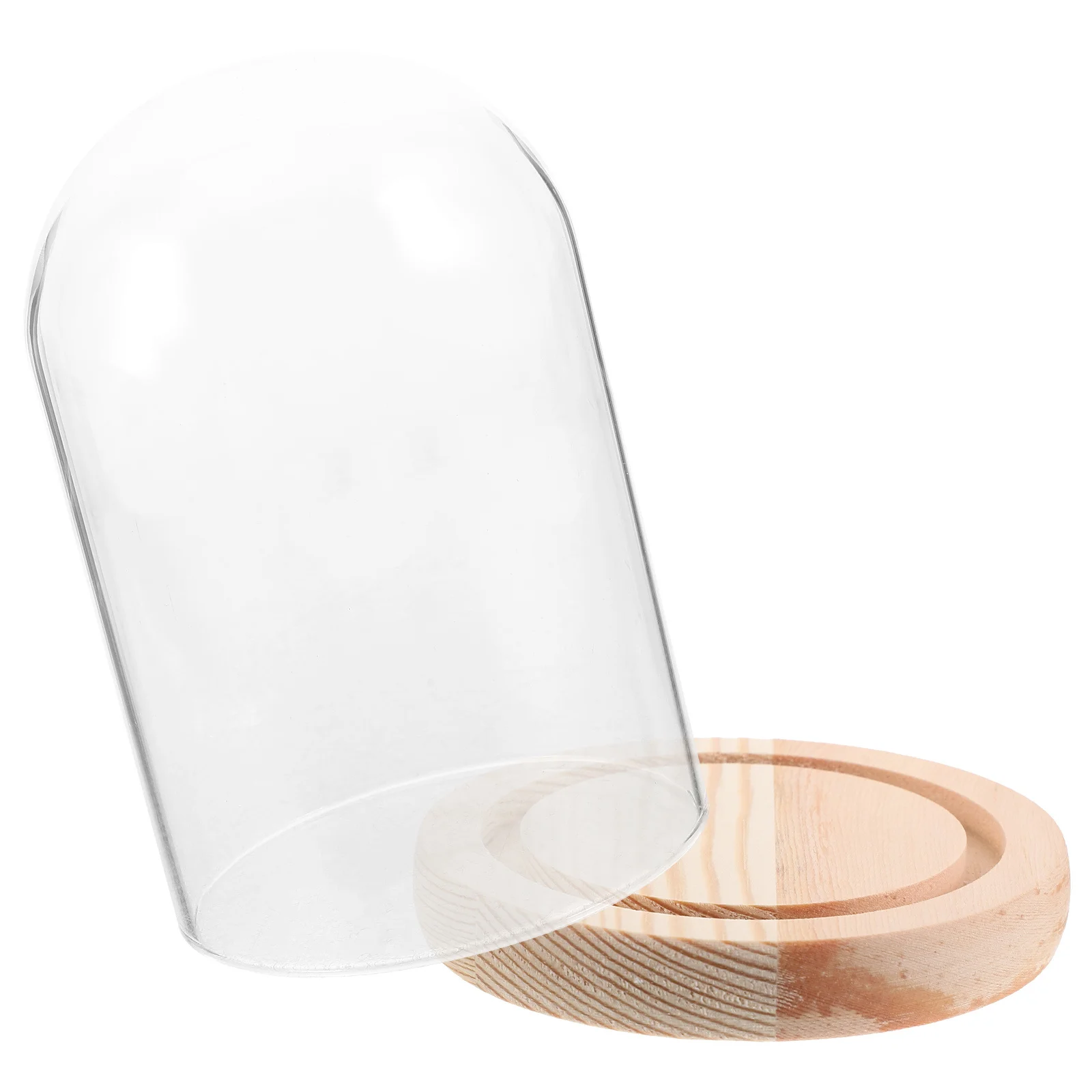 قبة زجاجية شفافة لعلبة عرض الزهور المحفوظة لديكور عيد الحب وغطاء المناظر الطبيعية الزجاجية #3