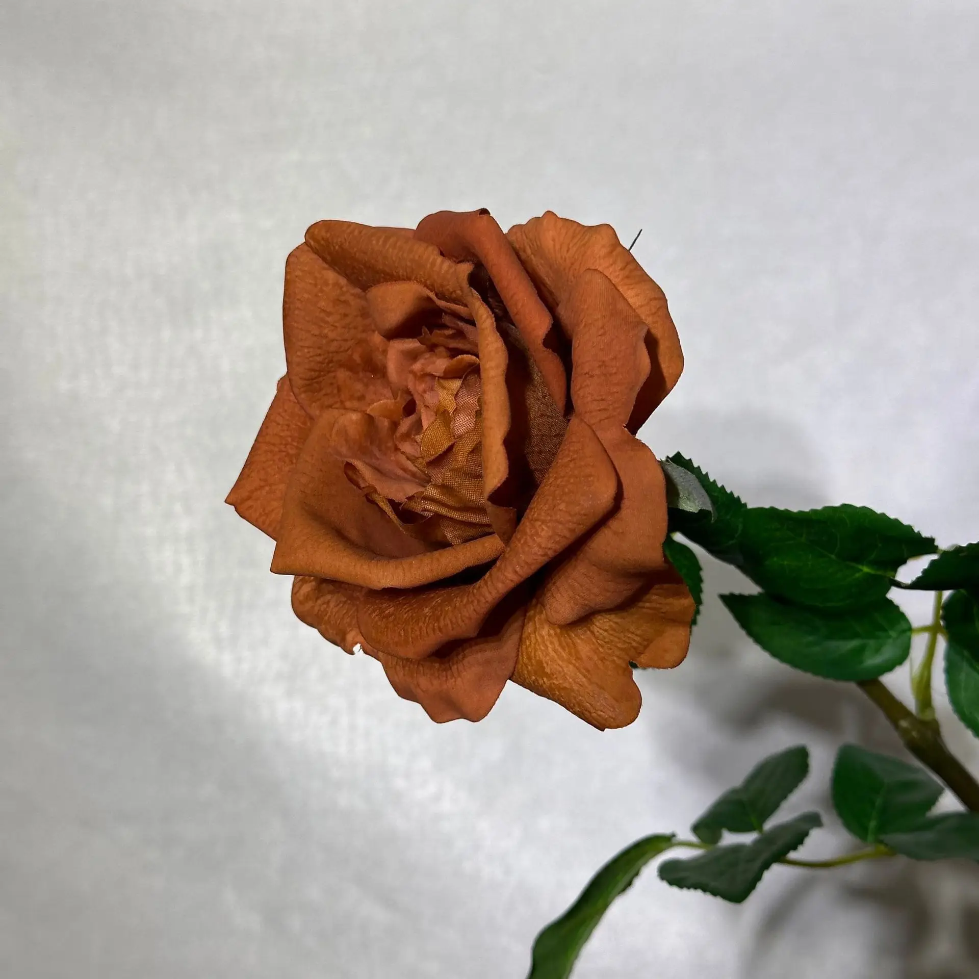 5 Stück Künstliche Feuchtigkeitsspendende Rosen mit Echtem Touch, Hochzeitsdekoration, Rosen-Brautstrauß, Party- und Eventdekoration, Heimdekoration, Kunstblumen – Detail 26