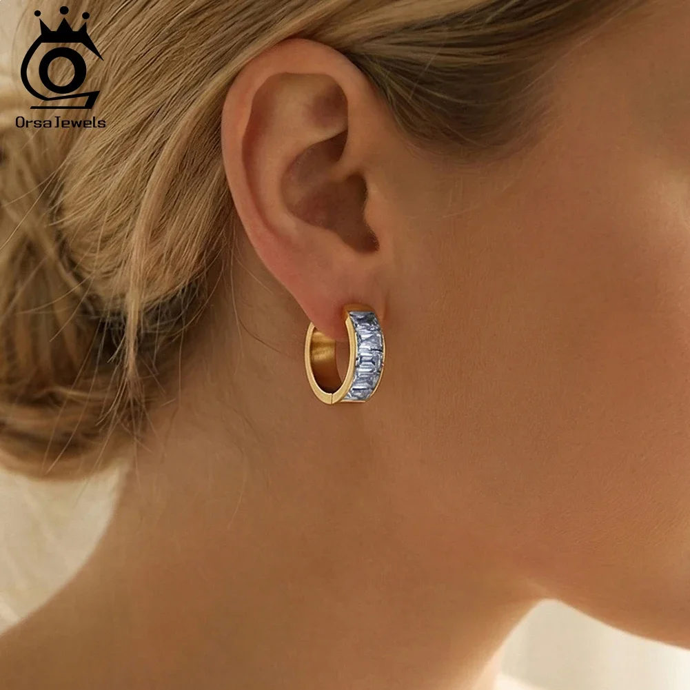 

ORSA JEWELS Stainless Steel Fashion CZ Round Huggie Hoop Earrings for Women Geometric Circle Ear Buckle Hoops EarJewelry STKE19