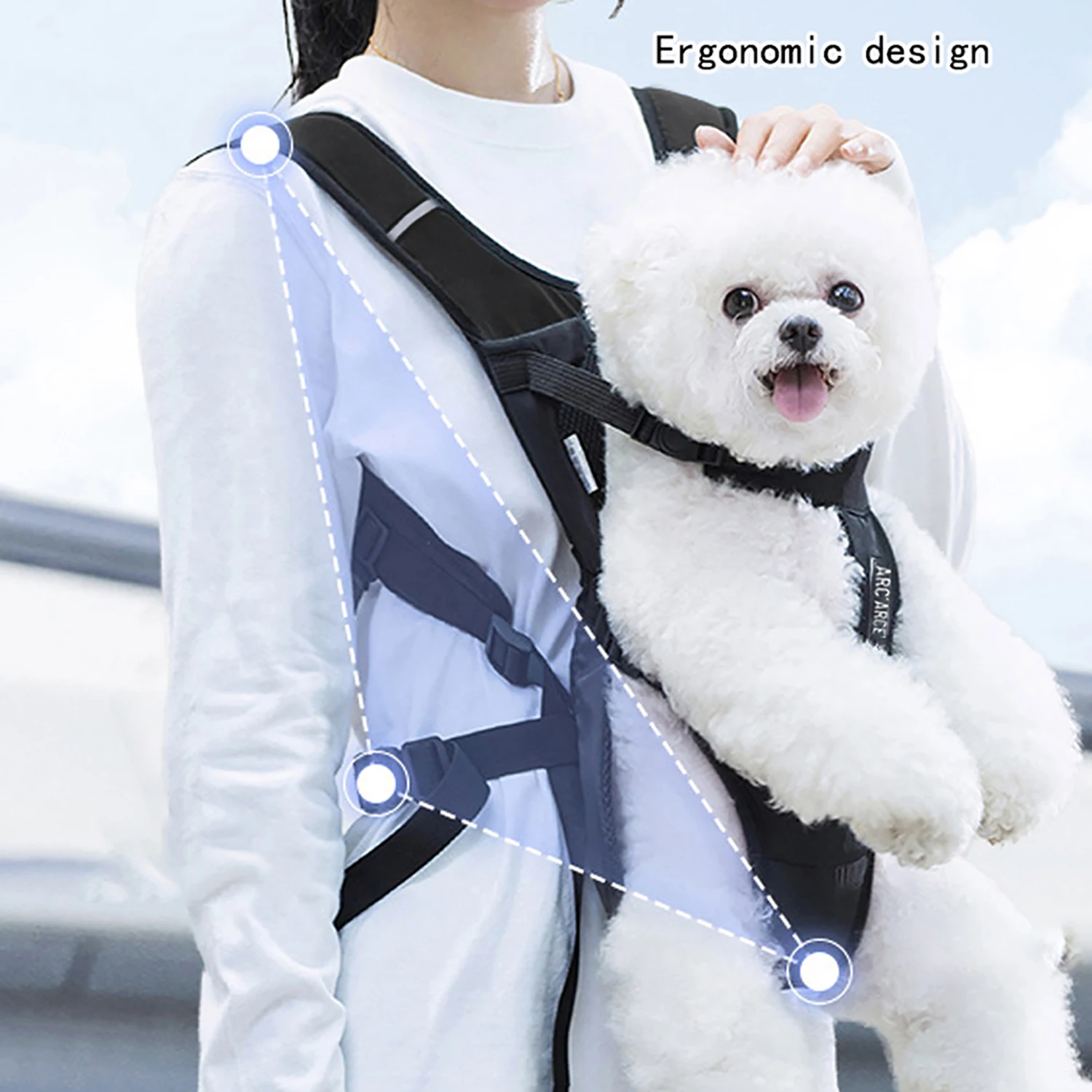 Thumbnail 4 - #36 Puppy Walking Bags Price Drop Alerts