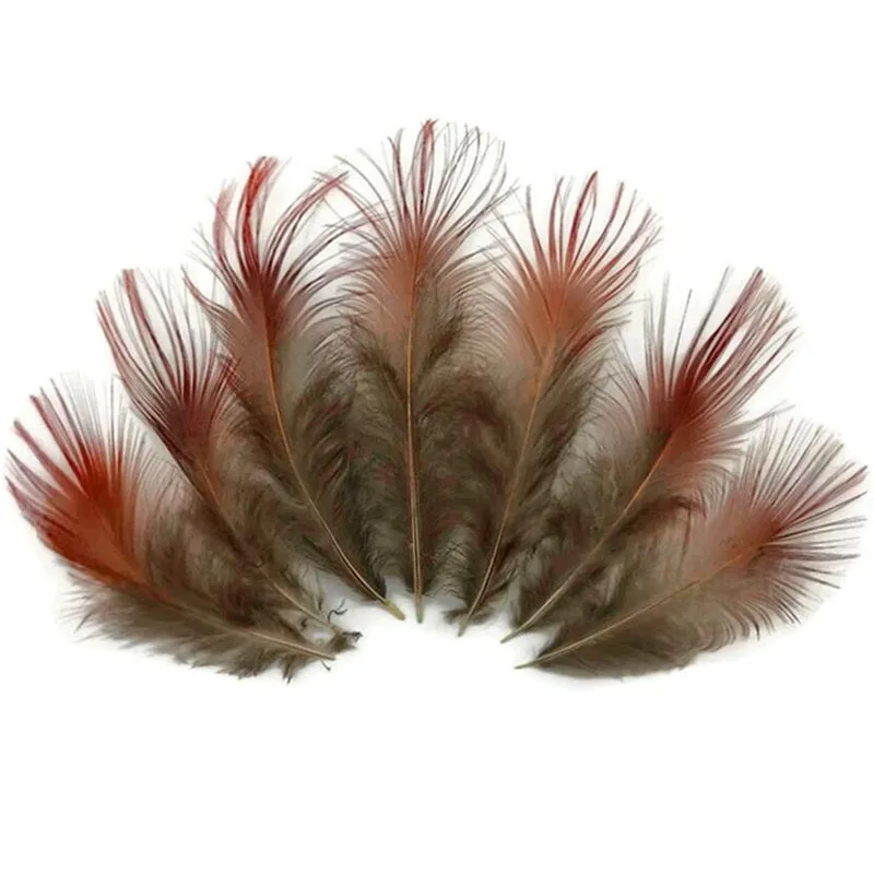 

200Pcs Natural Rusty Red Golden Pheasant Plumage Wholesale Feather Bulk Halloween 5-8cm long