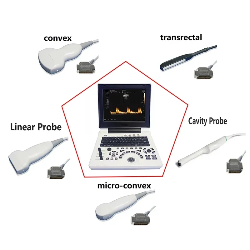 

Veterinary Ultrasound Handheld Scanner Convex, Convex Probes, Microconvex Probe, Rectal Probe, Linear Probe, Luminal Probe
