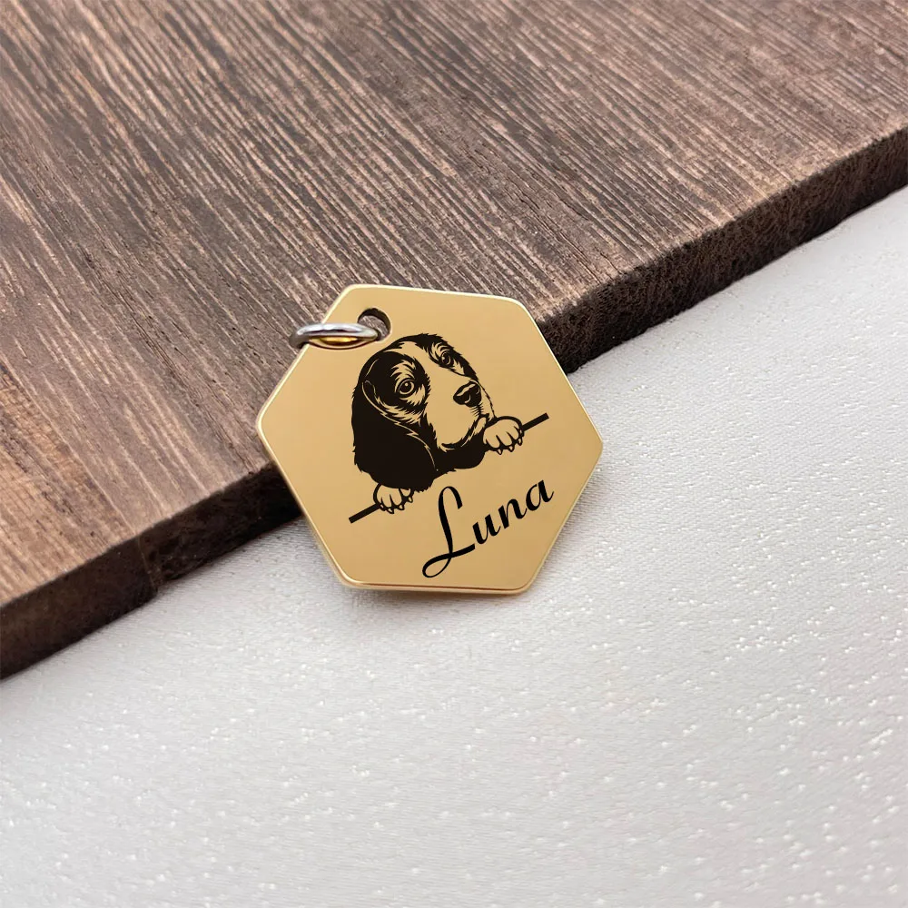 2024 NEW Personalized Hexagon Dog Name ID Tag Cat Tag Stainless Steel Pet Anti-lost Tag Puppy Accessories Dogs Collar Customized