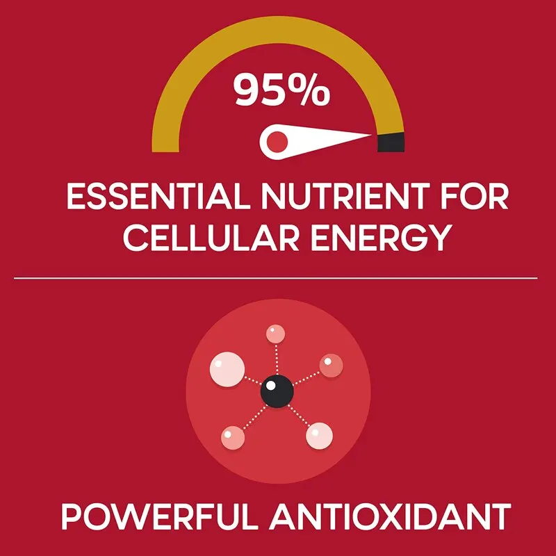 Prostaatsupplementen Prostaatsupplementen Voor Mannen Prostaatsupplementen Voor De Gezondheid Van De Mens Voor De Gezondheid Van De Urine En De Prostaat