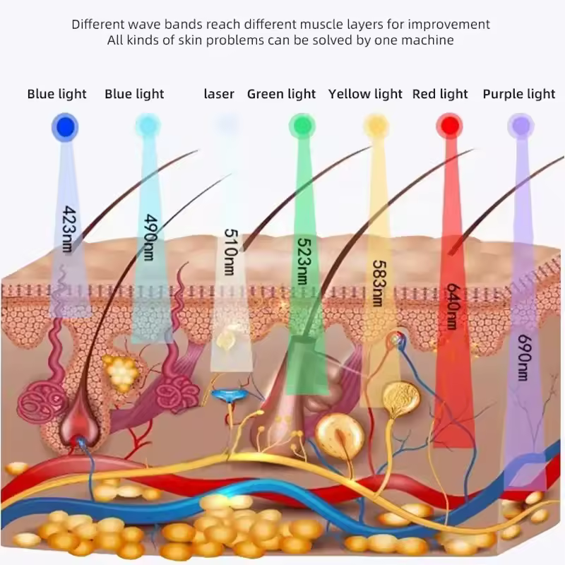 2. 전문가용 7색 ..