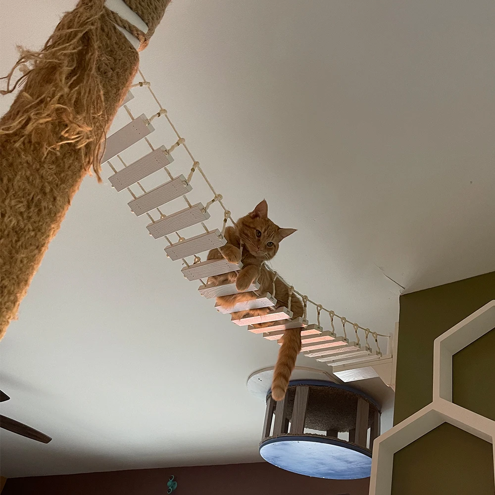 

Cat Suspension Bridge Cat Cage Sisal Rope Ladder Pet Furniture Moon Hammock Cat Tree Tower Pedal Cat Activity Sleep