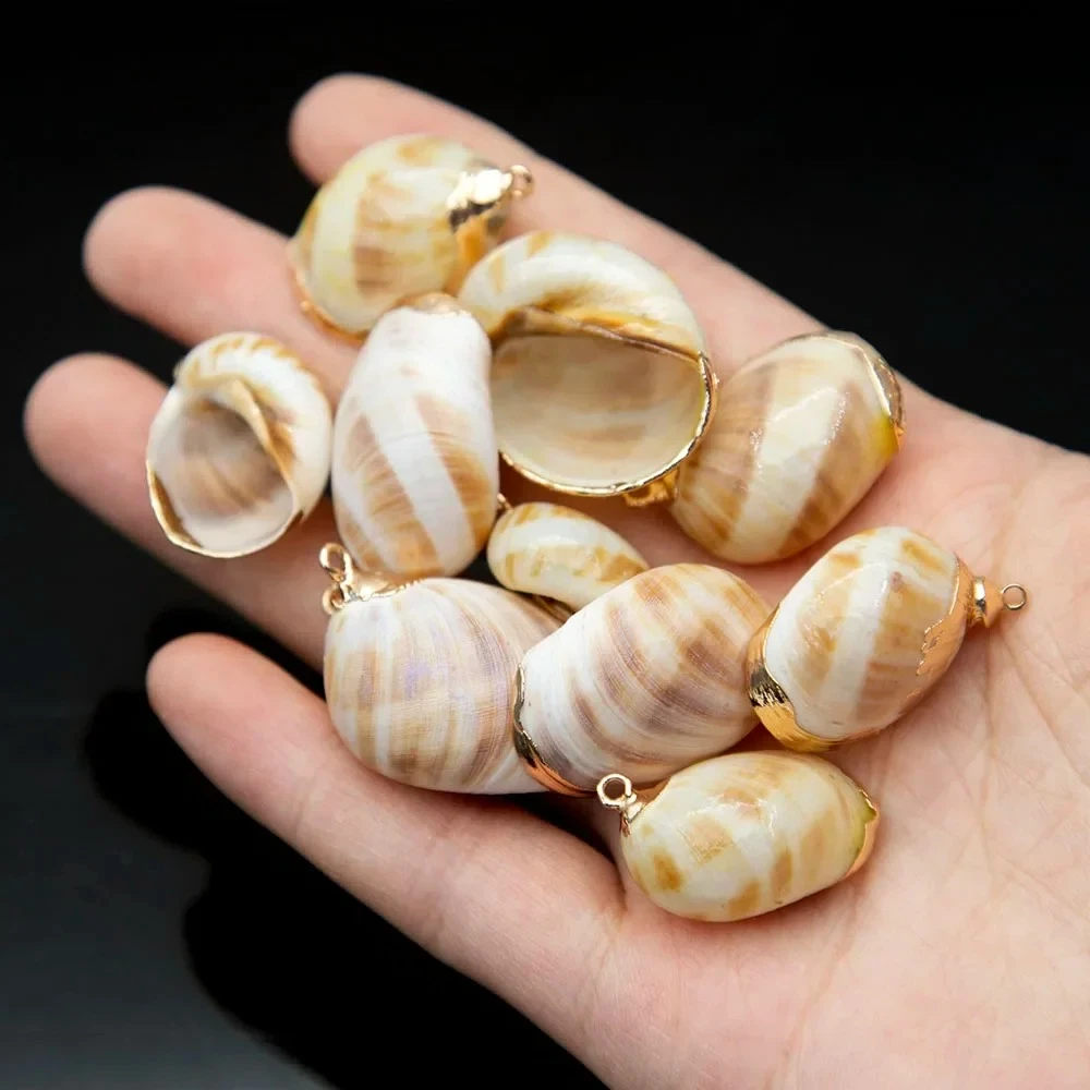 1/5/10 قطعة 10-30 مللي متر محارة شل قلادة جالبة للحظ الحدود الذهبية الطبيعية البحر قذيفة DIY بها بنفسك لصنع القلائد أقراط حجم غير منتظم