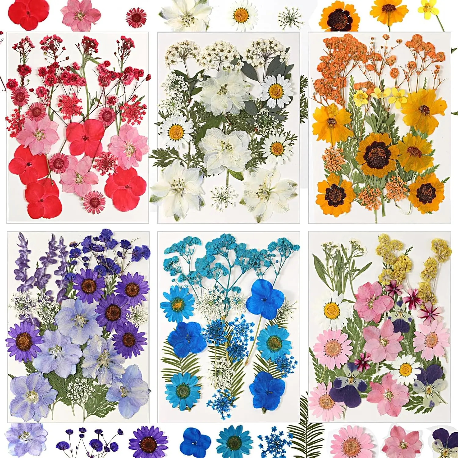 Dried Flowers for Resin, 103pcs Natural Flowers and Leaves Compressed, Vacuum Packed DIY Pressed Flowers for Epoxy, Jewelry